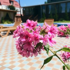 Назым Жумалиева, 01.08, Алматы