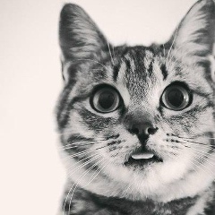 Таисья Полищук