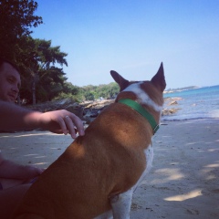 Эдуард Моос, 01.08