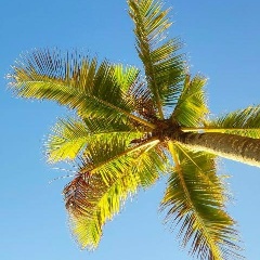 Никита Шамонин, 30.09, Волхов