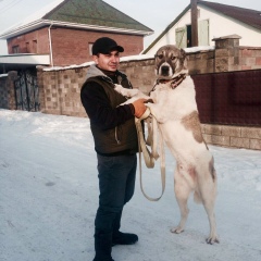 Байрамали Гоголадзе, 16.08.1986, Алматы
