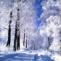 Дмитрий Мантусов, 10.03.1992, Санкт-Петербург