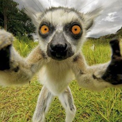 Ванёк Масленко, 08.11, Киев