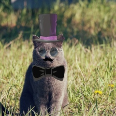 Алекс Р, Челябинск