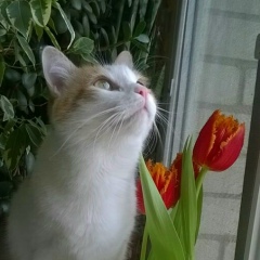 Ольга Савченко, 20.03.1989, Чернигов