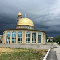 Тимур Нашапигов, Нарткала