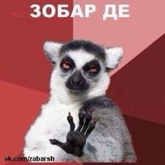 Хамзат Бакаев, 12.04, Грозный