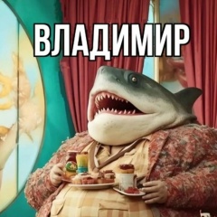 Владимир Иванов, 21.02, Саранск