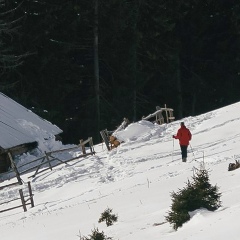 Дмитрий Мамонтов, 05.11.1984, Одесса