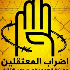 Hazem Hamdy, 24.02.1985