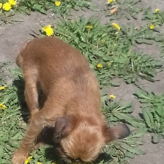 Карина Пупс, 23.12.1995, Москва