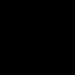 Zhanaidar Abu, Алматы