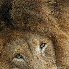 Wnucha Bhyk, 05.08, Москва