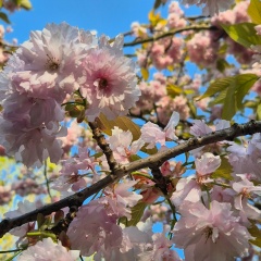 Марина Мартынова, 27.08, Калининград