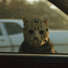 Антон Варнелис, 29.05.1991, Тюмень