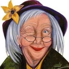 Елена Нестерова, Архангельск