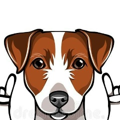 Алекс Ворон, Санкт-Петербург