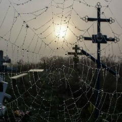 Вцйу Цуйу, 14.07