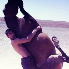 Азамат Агедилов, 28.04.1986, Жайрем