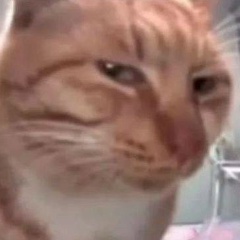 Mi Pofig, 27.11, Porto