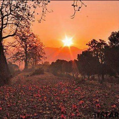 Khin Kyaw, 29.09.1986, Yangon