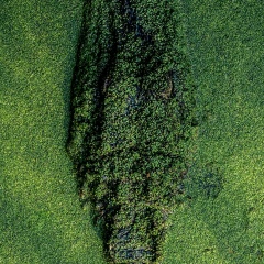 Докка Мадаев, 17.08.1989, Грозный