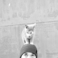 Адам Зайнутдинов, Грозный