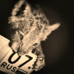 Алим Кизов, 24.06.1990