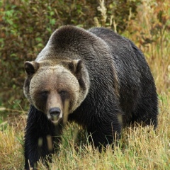 Сергей Иванов, 28.10, Алматы