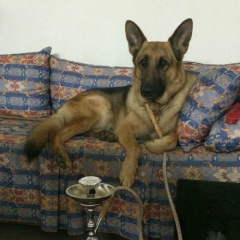 Андрей Лордецкий, 13.10.1998, Львов