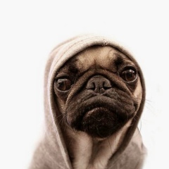 Сердар Танрыбердиев, Воронеж