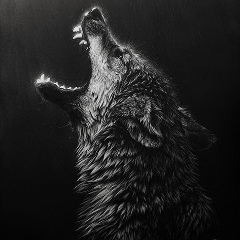 Усман Закаев, 10.01