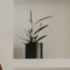 Ivan Ganus, 23.01, Сосновоборск