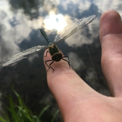 Юлдашев Атаджан, 05.12.1984, Санкт-Петербург