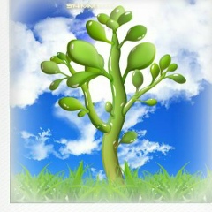 Лида Попович, 01.10, Львов