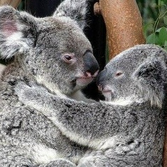 Анна Грицун, 08.04.1986, Днепр (Днепропетровск)