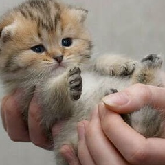 Ала Юхыменко