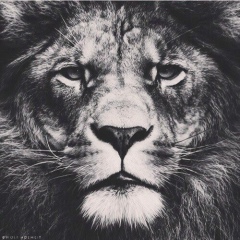 Аскар Иманкулов, 12.01, Астана