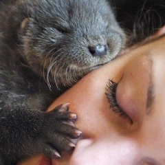 Елена Смирнова, Пермь