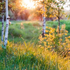 Андрей Васильев, 28.08.1983, Санкт-Петербург