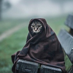 Бауыржан Сатканбаев, 30.09.1988, Атырау