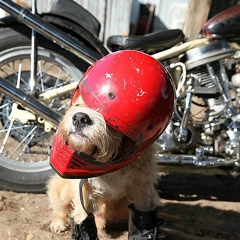 Руслан Русланов, 18.03, Алматы