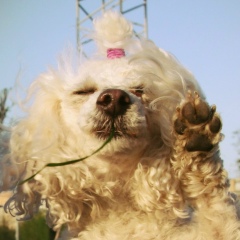 Екатерина , 25.07.1988, Москва