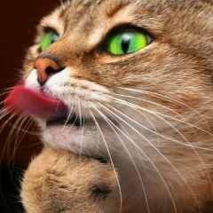 Елена Леонидова, 24.06, Павлодар