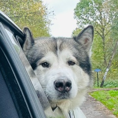 Тома Савельева, 18.05, Москва