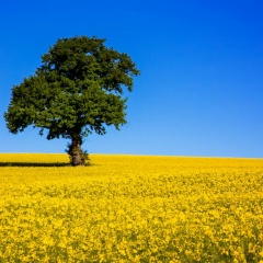Юрий Смирнов, 20.05.1983, Санкт-Петербург