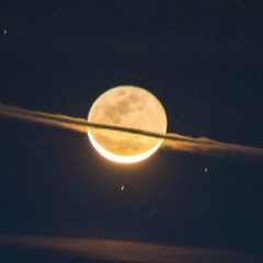 Елена Кампан, 12.02.1985, Красноярск