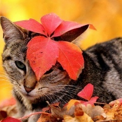Ольга Ярец, 22.05.1984, Санкт-Петербург