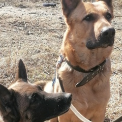 Елена Алексеева, 26.02.1975, Санкт-Петербург