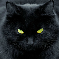 Елена , 03.01, Самара